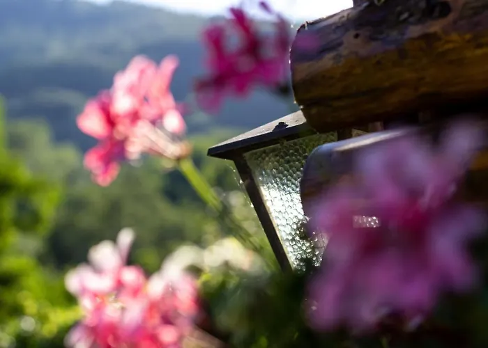 Lägenhet La Casa Di Mary