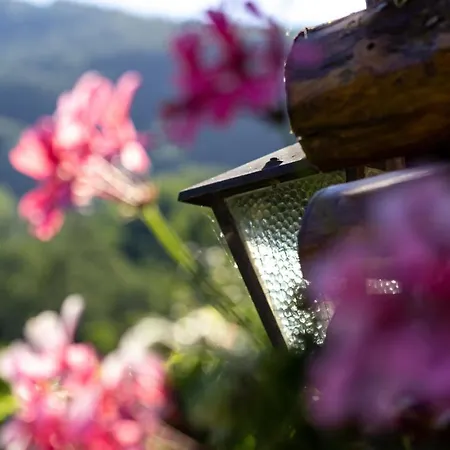 Appartement La Casa Di Mary
