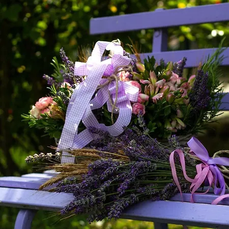 Appartement La Casa Di Mary Castiglione dei Pepoli