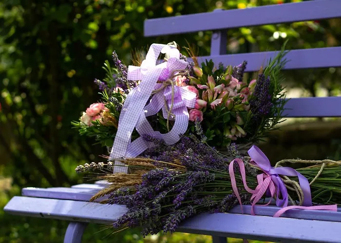 Lejlighed La Casa Di Mary Castiglione dei Pepoli